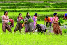 सिनर्जी एफ एम ९१.६ मेघाहर्ज