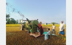 सिनर्जी एफ एम ९१.६ मेघाहर्ज