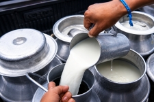 सिनर्जी एफ एम ९१.६ मेघाहर्ज