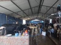 सिनर्जी एफ एम ९१.६ मेघाहर्ज