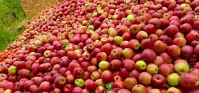 सिनर्जी एफ एम ९१.६ मेघाहर्ज