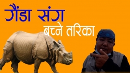 सिनर्जी  एफ एम ९१.६ मेघाहर्ज