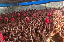 सिनर्जी एफ एम ९१.६ मेघाहर्ज