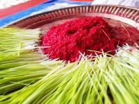 सिनर्जी एफ एम ९१.६ मेघाहर्ज