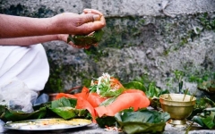 सिनर्जी एफ एम ९१.६ मेघाहर्ज