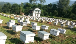 सिनर्जी एफ एम ९१.६ मेघाहर्ज