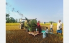 सिनर्जी एफ एम ९१.६ मेघाहर्ज