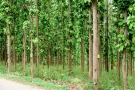 सिनर्जी  एफ एम ९१.६ मेघाहर्ज