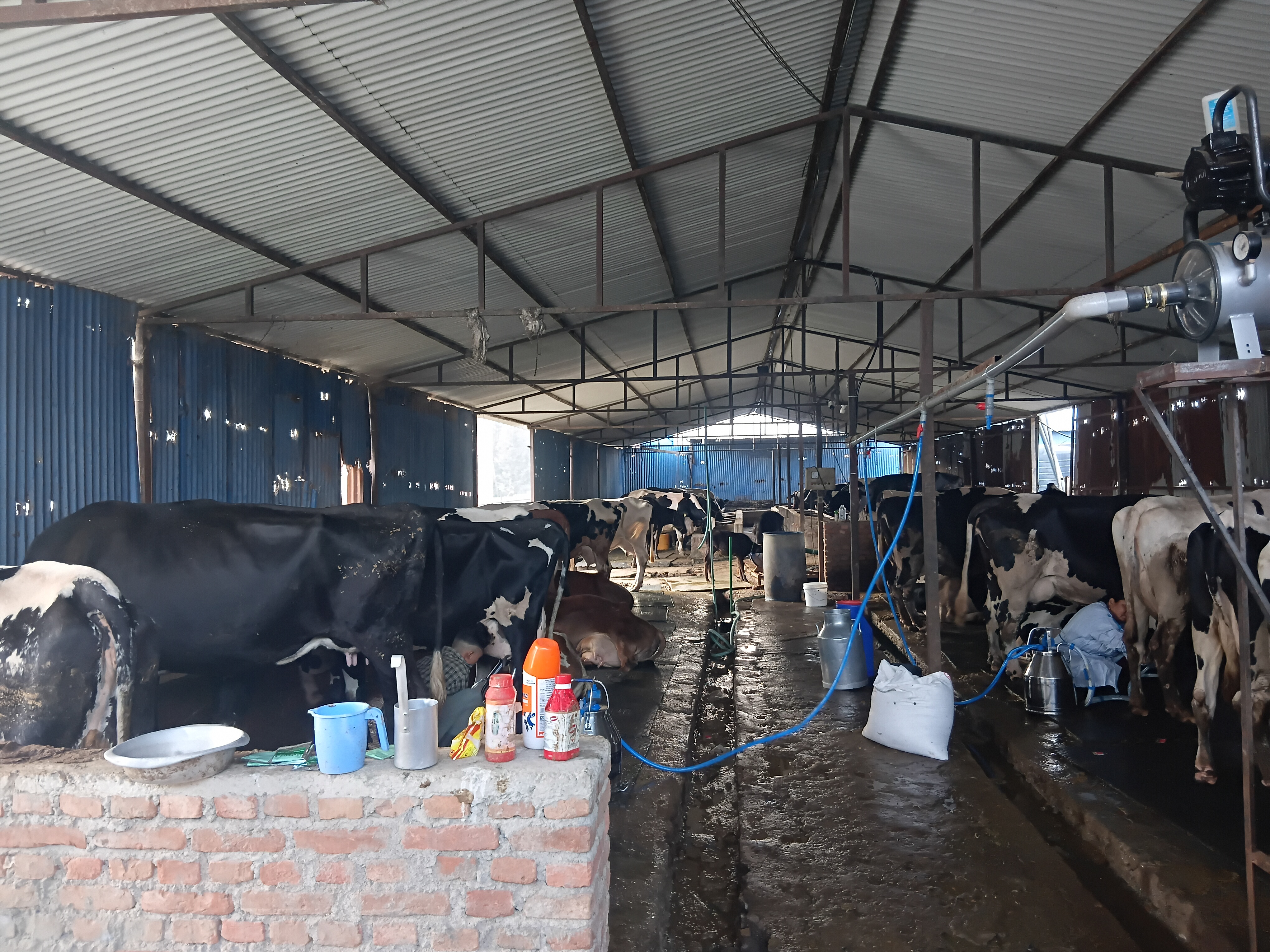 सिनर्जी  एफ एम ९१.६ मेघाहर्ज