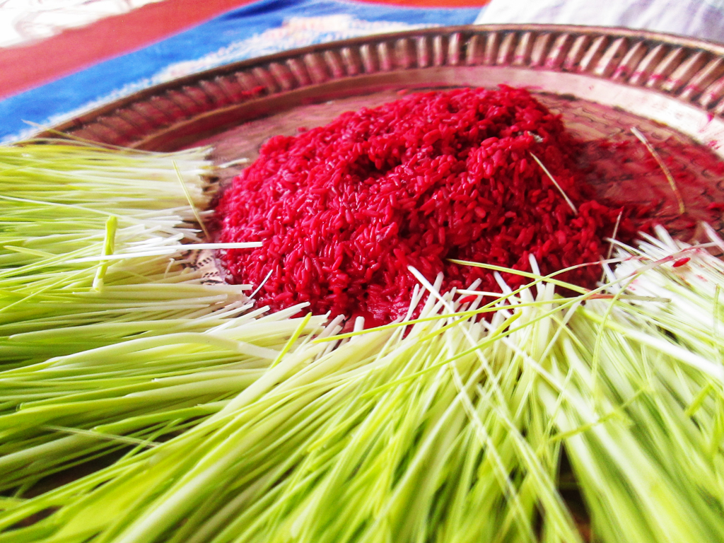 सिनर्जी एफ एम ९१.६ मेघाहर्ज